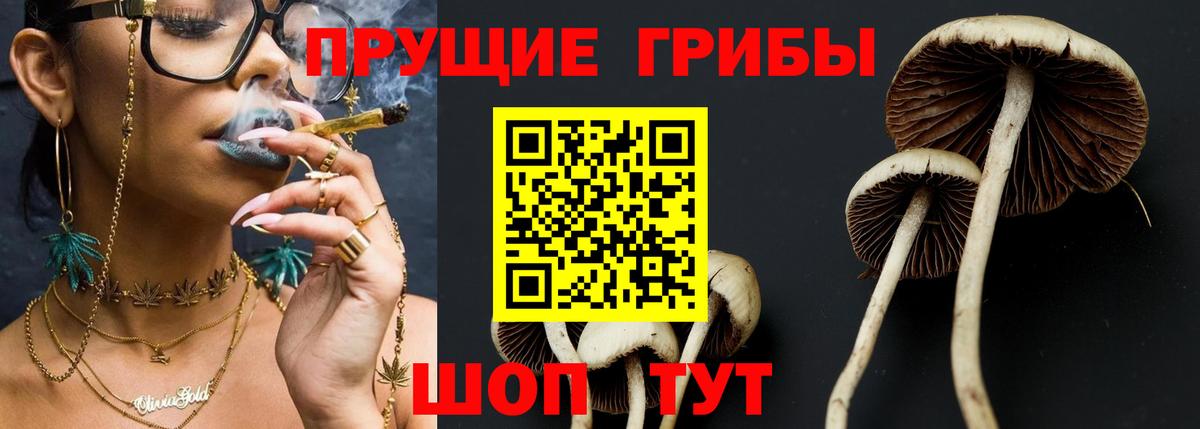 Ачинск  сколько стоит  Вход с VPN  Галлюциногенные грибы Cubensis 